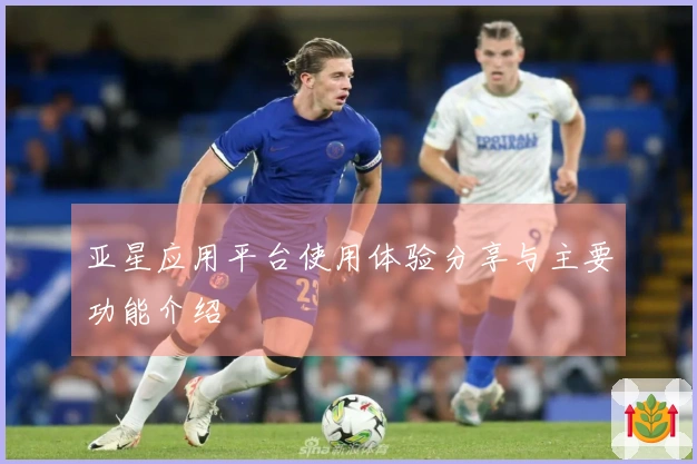 亚星应用平台使用体验分享与主要功能介绍