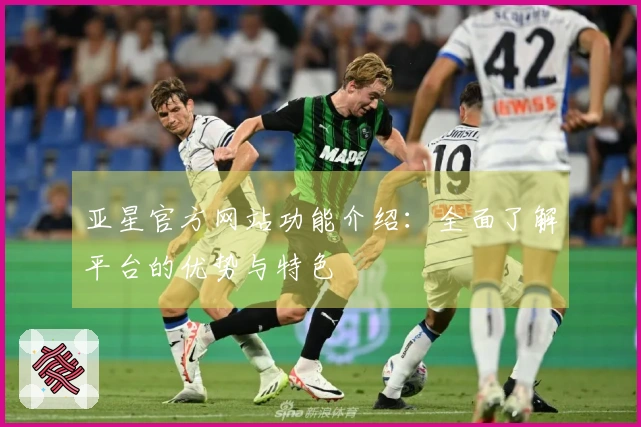 亚星官方网站功能介绍:全面了解平台的优势与特色
