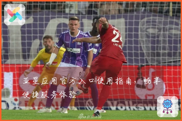 亚星应用官方入口使用指南，畅享便捷服务体验